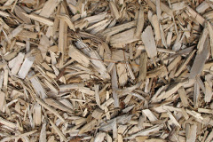 biomass boilers Trefnant